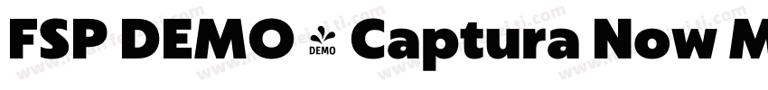 FSP DEMO - Captura Now Medium字体转换
